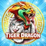 Tiger Dragon Game